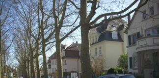 Weitere Fahrradstraße für Mainz: Am Rosengarten wird Mitte Juli Vorrangstraße für Radler – Ritterstraße als Fortsetzung