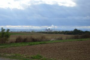 Felder auf der Laubenheimer Höhe mit Portland-Kraftwerk im Hintergrund. - Foto: gik