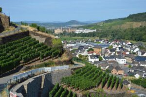 Weinberge oberhalb von Walporzheim mit Blick Richtung Autobahnbrücke und Rheinebene. - Foto: gik