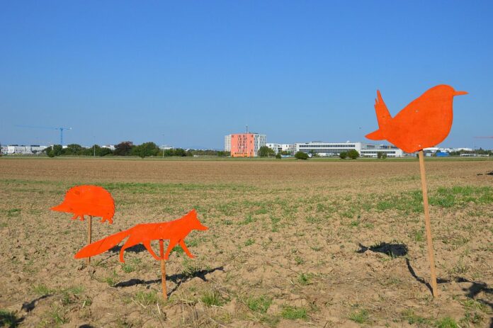 Ackerfest gegen Biotech-Campus an der Saarstraße in Mainz: Protest gegen Versiegelung, Artenverlust, Verlust der Kaltluftschneise