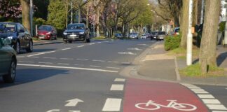 Fahrrad-Piktogramme in Mainz: Dezernentin Steinkrüger verweigert Abbau und will neue Ketten – Landesbetrieb: Sanktionen drohen