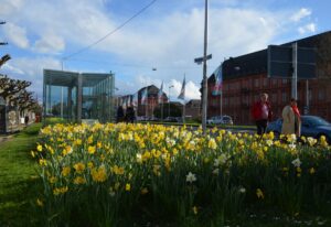 Noch hat der Frühling nicht richtig Einzug gehalten, hier Frühlingsblumen vor dem Kurfürstlichen Schloss in Mainz. - Foto: gik