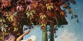 Gute Nachrichten für Frau Holle: Lüften der Bettwäsche am Fenster ist erlaubt – Haus & Grund informiert über Gerichtsurteil