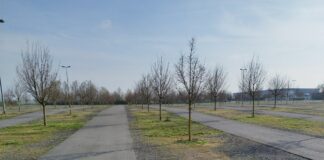 Ampel, Slalomstrecke, Einparkbuchten: Verkehrsübungsplatz in Mainz wiedereröffnet – Fahren ohne Führerschein jetzt auf der Messe