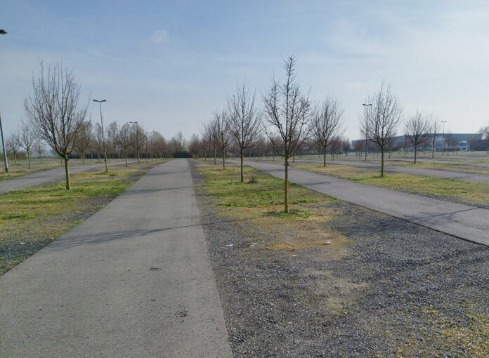 Ampel, Slalomstrecke, Einparkbuchten: Verkehrsübungsplatz in Mainz wiedereröffnet – Fahren ohne Führerschein jetzt auf der Messe