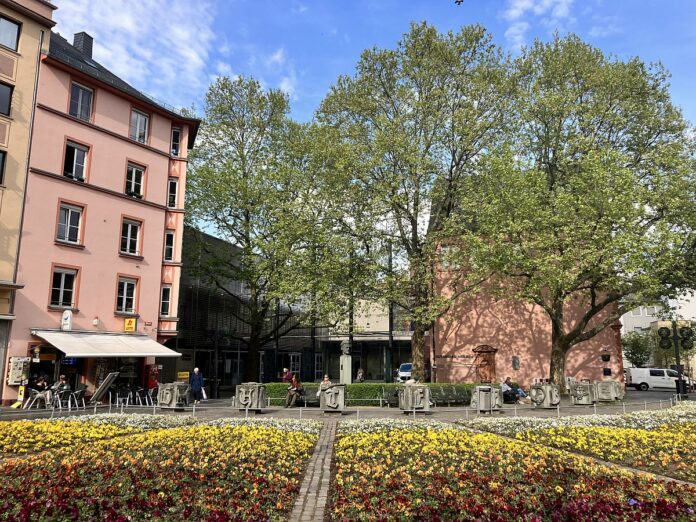 Neue Blumenbeete in Mainz als Ersatz für Liebfrauenplatz: Karmeliterplatz wird zur Blumenwiese – Taufkirche Gutenbergs wird aufgewertet