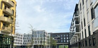 Hitzeaktionstag am 4. Juni 2025: Was hat sich in Mainz verbessert? – ÖDP kritisiert Baupraxis: 1000 Bäume nicht gepflanzt