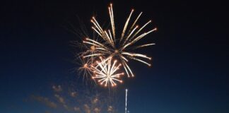 Zauberhaftes Abschlussfeuerwerk bei Mainzer Johannisnacht – Ärger um Sperrung von Rheinachse und Parkhäusern