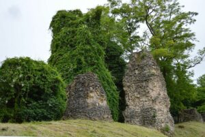 Die antiken Römersteine, Reste eines Aquädukts über das Zaybachtal, präsentierten sich 2024 überwuchert und ungepflegt. - Foto: gik