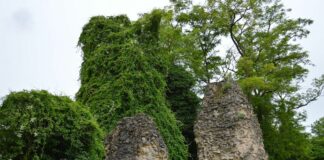 Stadtkuratorin für Römisches Mainz? – IRM-Chef Vahl fordert Konzept und kritisiert Zustand der Römersteine