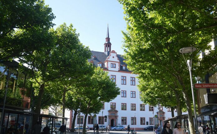 Baumbündnis fordert Stadt Mainz zum Stopp von Baumfällungen auf: Forderungskatalog für neu gewählten Stadtrat