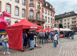 Sommerfest der Mainzer Linken im Wahlkampfendspurt 2024. - Foto: gik