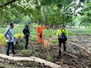 Suche im Wald nach infizierten und verendeten Wildschweinen. - Foto: Hessisches Agrarministerium