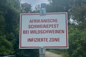Warnschild Afrikanische Schweinepest. - Foto: Kreis Mainz-Bingen