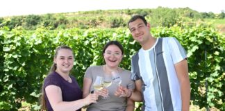 Wählt Rheinhessen heute den ersten Weinkönig? – Mit dem Mainzer Levin McKenzie tritt ein Influwinzer zur Wahl an