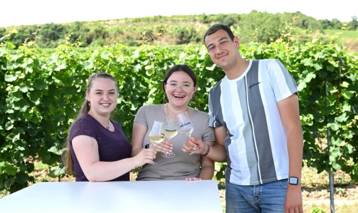 Wählt Rheinhessen heute den ersten Weinkönig? – Mit dem Mainzer Levin McKenzie tritt ein Influwinzer zur Wahl an