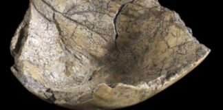Fälschungen in der Landesarchäologie: Weder Neandertaler in Ochtendung noch Römerschlacht in Riol – 18 neue Verdachtsfälle