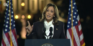 Mainz& politisch: Harris oder Trump – Endkampf um die Demokratie – Faschismus gegen Freiheit bei schicksalshafter US-Wahl