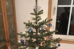 Lange Freude am Weihnachtsbaum in Mainz: Abholung erst am 18. Januar 2025 – Abfalltouren ändern sich 2025