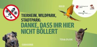 Mainz setzt Kampagne rund um Tierheim und Wildpark fort: „Hier bitte nicht böllern!“ – Beispiellose Eskalation in der Silvesternacht?