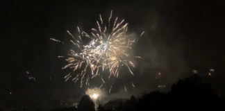 Unruhige Silvesternacht für Feuerwehr Mainz: Mehrere Brände durch Feuerwerk – Ruhige Nacht am Tierheim: OB Haase vor Ort