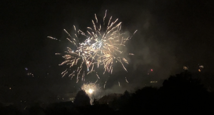 Unruhige Silvesternacht für Feuerwehr Mainz: Mehrere Brände durch Feuerwerk – Ruhige Nacht am Tierheim: OB Haase vor Ort