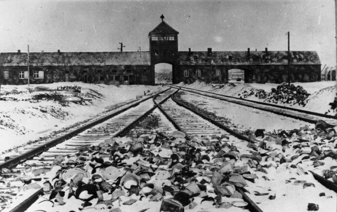 „Auschwitz – eine monströse Mordmaschine“ – Landtag gedenkt in Mainz des 80. Jahrestags der Befreiung des KZs