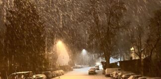 Wintereinbruch in Mainz: Wunderbare Winterlandschaft am Sonntag – Nach dem Schnee kommt das Eis