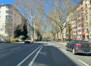 Vorzugsvariante Rheinallee: Hier soll einmal die Straßenbahnentlang rollen. - Foto: gik