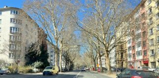 Straßenbahnausbau in Mainz: Route für Innenstadtring entschieden – Trasse via Große Bleiche und Rheinallee geplant