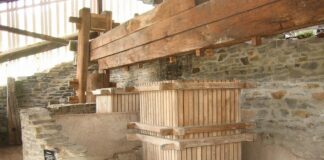 Sensationsfund römische Weinkelter am Glan: Erster Nachweis für Weinbau bei Mainz – Offener Brief für Erhalt an Ministerpräsident Schweitzer