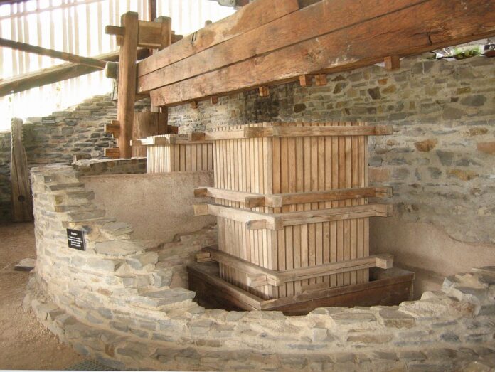 Sensationsfund römische Weinkelter am Glan: Erster Nachweis für Weinbau bei Mainz – Offener Brief für Erhalt an Ministerpräsident Schweitzer