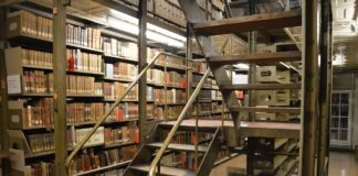 Erste Nacht der Bibliotheken in Mainz am 4.4.2025: Blick hinter Türen von Stadtbibliothek oder UniBib mit Taschenlampe und Tanz