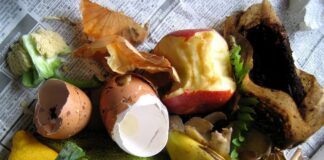 Neue Abfallregel ab 1. Mai 2025: Störstoffe in der Biotonne werden auch in Mainz schärfer geahndet – Kostenpflichtige Sonderleerung droht