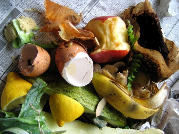 Neue Abfallregel ab 1. Mai 2025: Störstoffe in der Biotonne werden auch in Mainz schärfer geahndet – Kostenpflichtige Sonderleerung droht