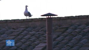 Menschen, die auf einen Schornstein starren: Der Kamin auf der Sixtinischen Kapelle war am Mittwoch das meistbeobachtete Gebäudeteil der Welt. Und die Möwe der Liebling, - Screenshot: gik