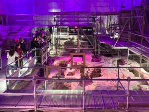 Immer wieder magisch: Die Ausgrabungen im Alten Dom St. Johannis, hier bei der Museumsnacht 2023. - Foto: gik
