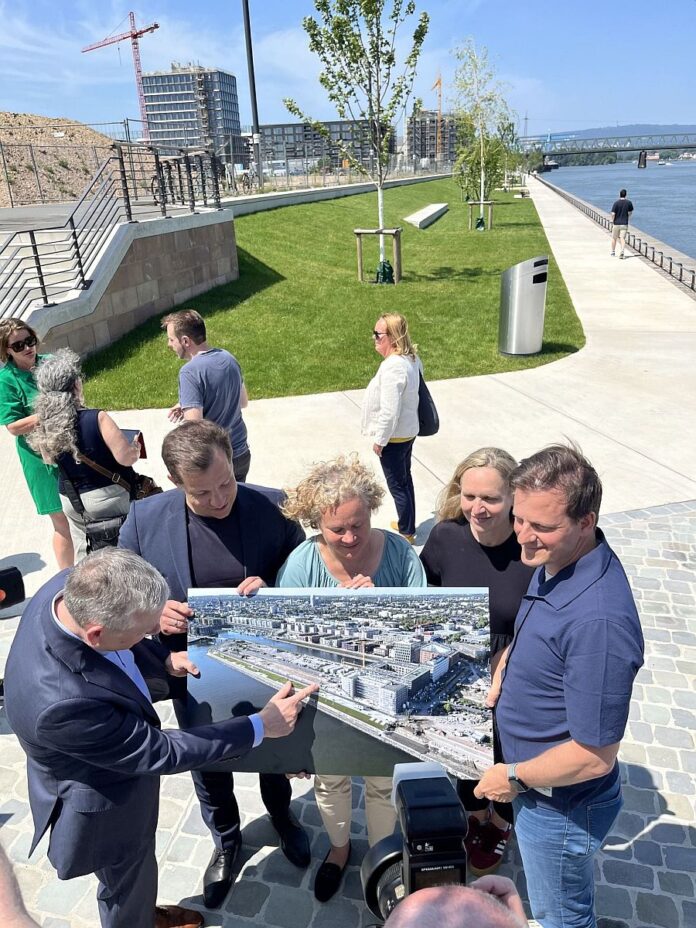 „Grünufer“ auf Nordmole am Mainzer Zollhafen eröffnet: 26 Bäume, 10.000 Quadratmeter Rasen – Kritik an fehlenden Grillmöglichkeiten