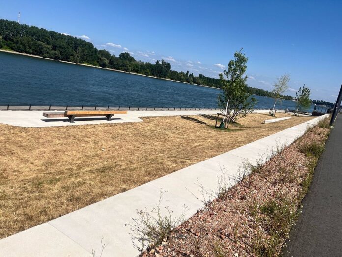 Mainz&-Jahresrückblick 2025, Teil 3: Mondfinsternis, vertrocknetes Grünufer und ein Weinkönig-Anwärter aus Mainz – Topthemen Juli-September