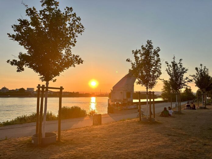 Hitze in Mainz: Ozonwarnung! – Ozonwerte von mehr 180 Mikrogramm gemessen, Gefahr für Gesundheit, Warnung vor Sport im Freien