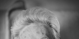 Mitbegründerin des Fördervereins Mainzer Unterhaus ist tot: Barbara Rupp mit 85 Jahren gestorben