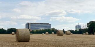 Standortsuche neue Uniklinik Mainz: ÖDP fordert Prüfung von Flächenalternativen – Linke: Hausaufgaben nicht gemacht