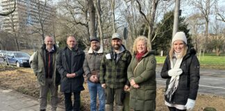 Grünfläche statt Parkplätze: Stadt Mainz will Areal am Fichteplatz „naturnah aufwerten“ – Workshop mit Anwohnern im Frühjahr
