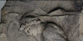 Mainz&-Adventskalender, Türchen 16: Gefangene Barbaren und ein Gestüt mit Reitplatz in Mainz – Die Reiterei der Römer im Gonsbachtal