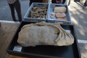 Der Torso eines Genius, Scherben von Alltagsgegenständen: Funde aus der TRON-Baugrube in der Mainzer Oberstadt. - Foto: gik