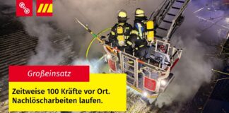 Bilanz Silvesternacht in Mainz: Wohnungsbrand in Finthen, Mülltonnenbrände, Brand auf Pferdehof – Keine Angriffe auf Einsatzkräfte