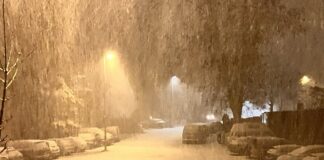 Wintereinbruch in Mainz mit Schneesturm und Gewitter – Linienbus drohte auf spiegelglatter Straße abzustürzen