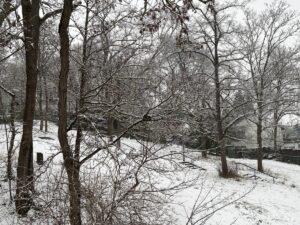Ein überraschend heftiger Wintereinbruch hat am Dienstag Mainz erwischt. - Foto: gik