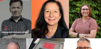 Mainz&-Fragebogen zur Landtagswahl 2026, Mainz I: Linke, ÖDP, Volt, Freie Wähler, BSW – Die kleinen Bewerber im Wahlkreis I in Mainz