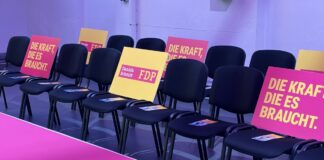 Desaster bei Landtagswahl in Mainz: Wie weiter mit der FDP? – Landeschefin Daniela Schmitt kündigt Rückzug an, Neuwahl am 9. Mai 2026